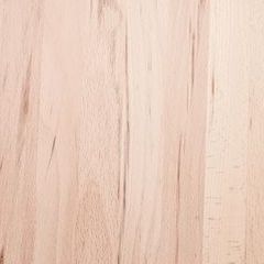 Мебельный щит Бук 3000х610х20 мм цельноламельный А/В